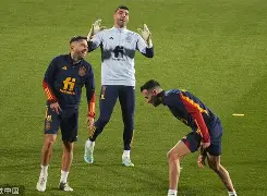 九州娱乐-西班牙瑞士阵容