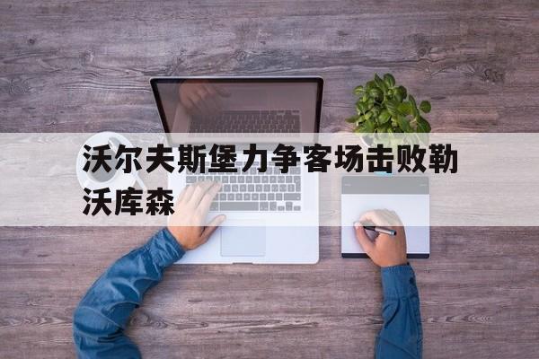 沃尔夫斯堡球迷 沃尔夫斯堡球迷