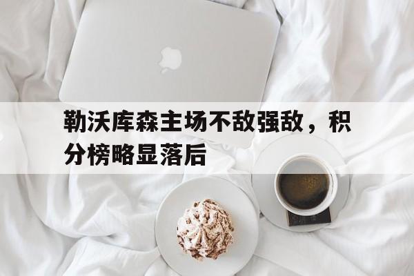 九州娱乐app-勒沃库森主场不敌强敌，积分榜略显落后的简单介绍